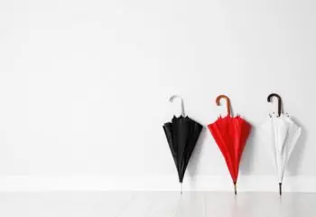 1日70円で利用可能!? 環境にも優しいシェアリングサービスとは？