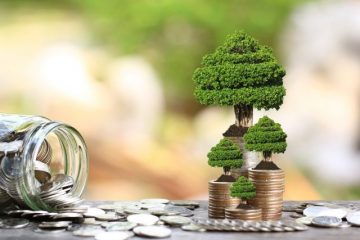 【事実は小説よりも奇なり】叔父と姪の内縁が認められ、遺族年金を受給したケースとは？