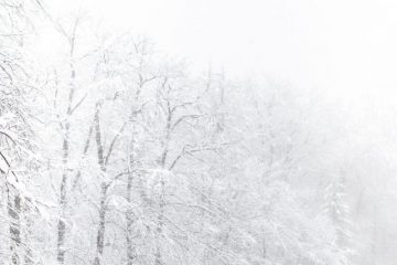 知っておきたい火災保険。「風災・ひょう災・雪災」って、どんな意味？