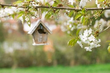 春から大学へ入学！ 新生活にはどれくらいお金が必要？