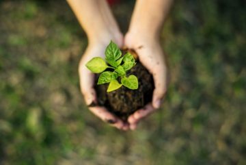 明日から始めれる？誰にでもできるecoのススメ