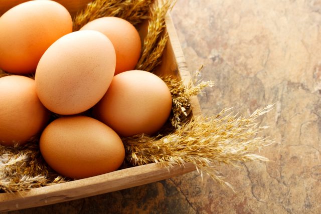 【物価高】たまごが高い！いつまでたまごの価格は高騰するの？
