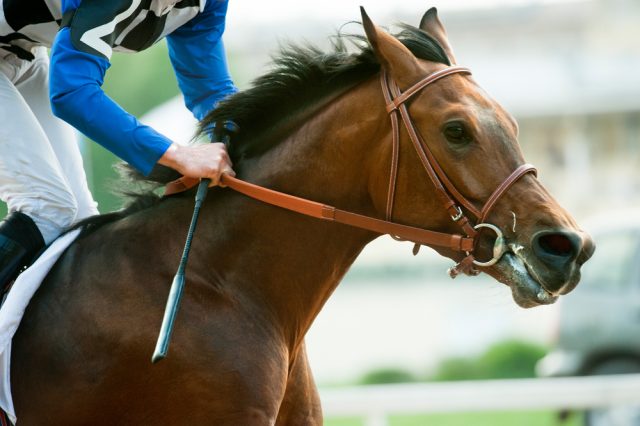 競馬で当たったら「税金」が発生する？確定申告の方法は？