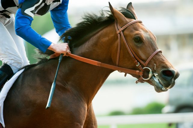 競馬で当たったら「税金」が発生する？確定申告の方法は？