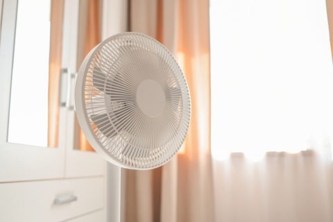 扇風機を1日中点けっぱなしにしていた場合、電気代はどれくらいになりますか？また、強風と弱風で価格差はどれだけあるでしょうか？