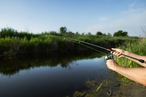 釣りって基本「無料」ではないのですか？富士五湖で釣りをしようとしたら「税金がかかる」と言われました…。