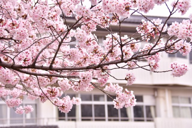 子ども2人の入学時期が重なり「学費赤字」になりそう…！学費は年収の何割あるべき？