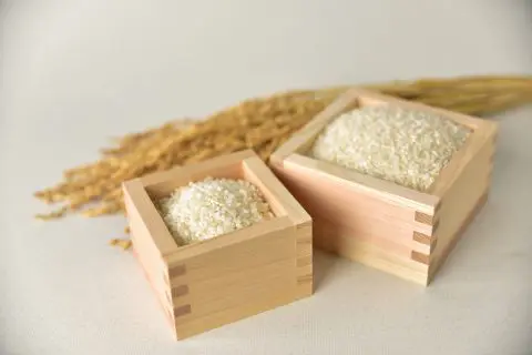 「備蓄米」が流通し始めたとはいえまだまだ高い「お米」。友人は「パックご飯の方がお得」と言っていますが、本当でしょうか？