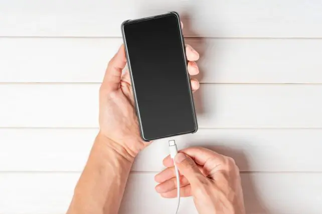 「スマホ充電器の挿しっぱなし」は電気代にどう響く?やっぱりこまめに抜いたほうが良い?