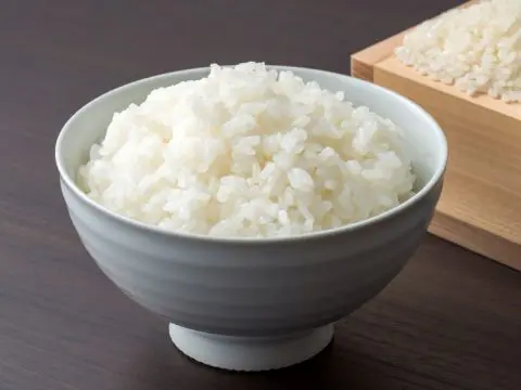 【比較】コメ価格の高騰で、ご飯が食パンの「1.7倍」の値段に!?「コメ・食パン・うどん・パスタ・そば」の中で、今一番安い主食はどれ？ 1食あたりの価格を比較