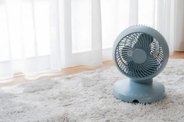 部屋干しには「サーキュレーターがおすすめ」とよく聞きますが、「扇風機」と何が違うのですか?電気代を比較したらお得なのはどちらですか?