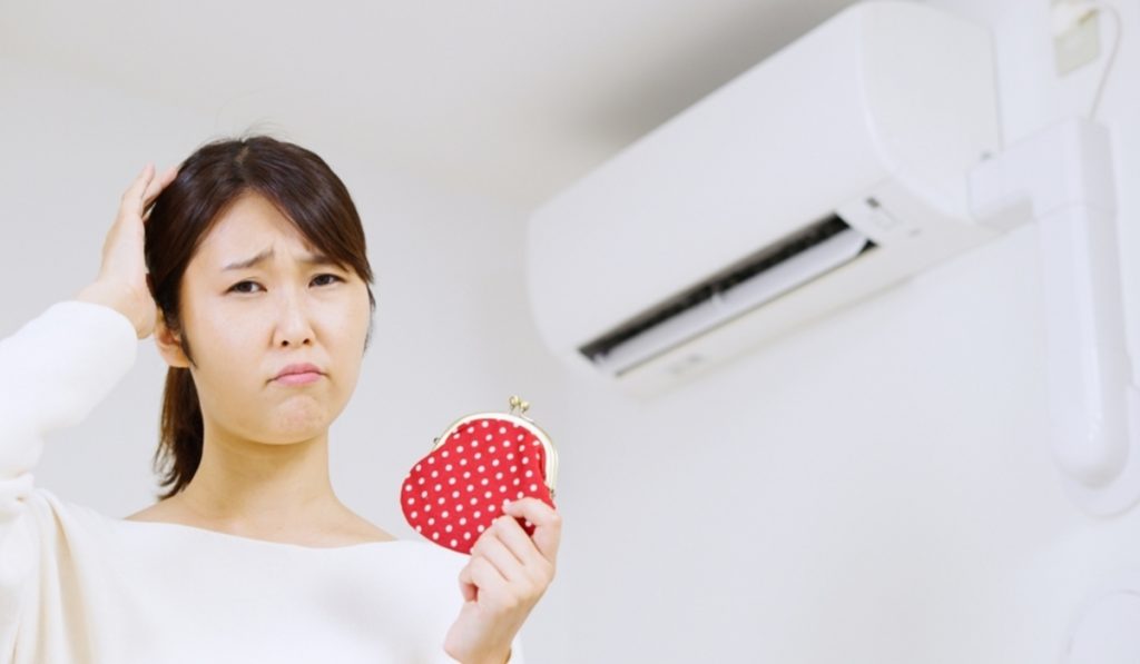 「昨年より電気代が高い」と感じています。政府の補助は今年の3月で終わったと聞きましたが、猛暑が予想される7月以降に再開はあるのでしょうか?