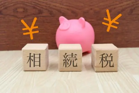 80代の親が「山林」を所有しています。このままだと私が相続する予定なのですが、管理できそうにありません。どうすればいいでしょうか？